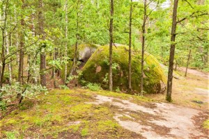 Экскурсия в Каменное село